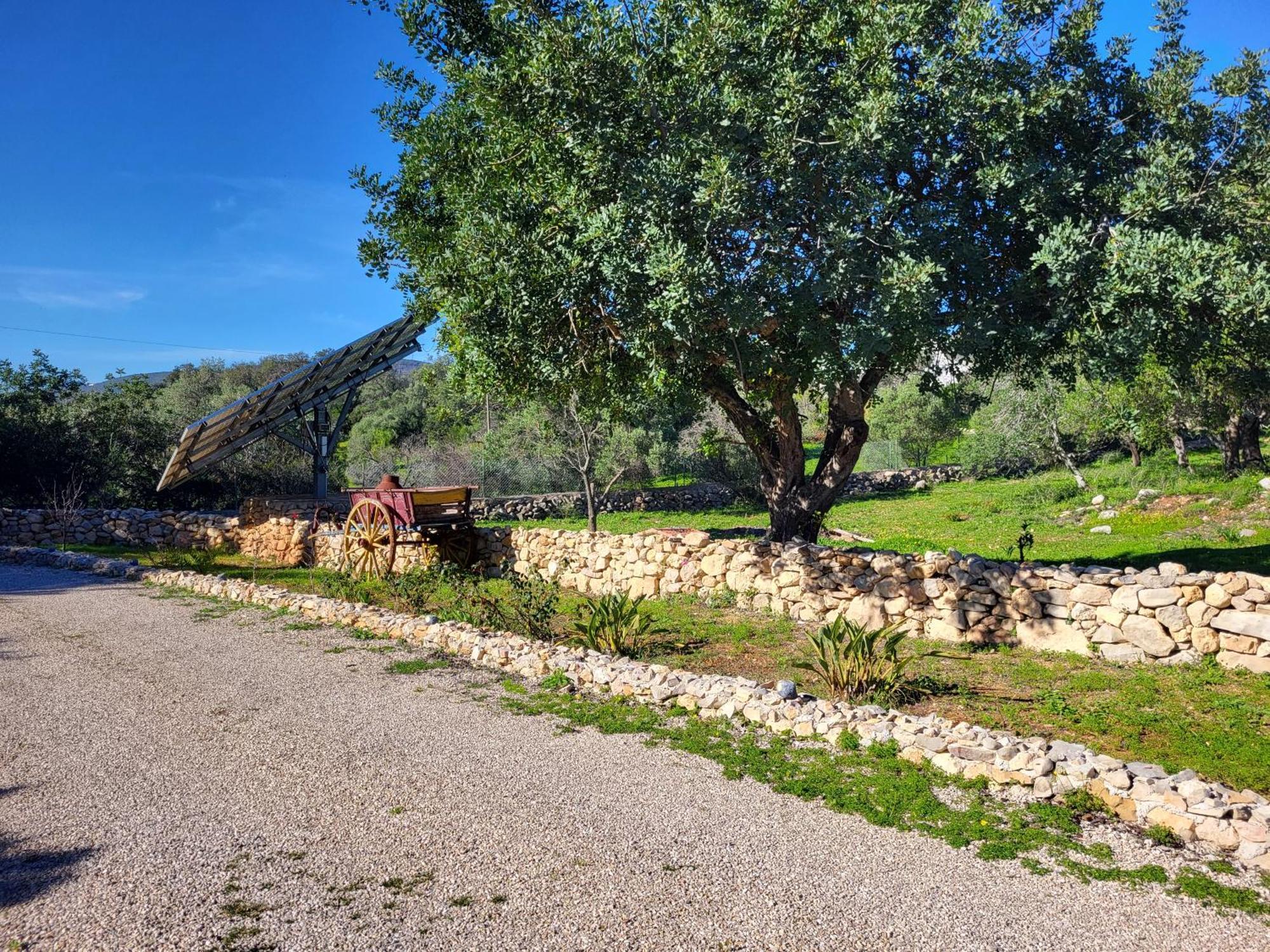 Vista Magica B&B Santa Bárbara de Nexe Zewnętrze zdjęcie